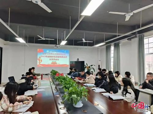四川文化傳媒職業(yè)學(xué)院圓滿完成2023年度專題組織生活會和民主評議黨員工作